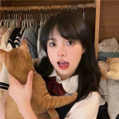 芝加哥警署第七季